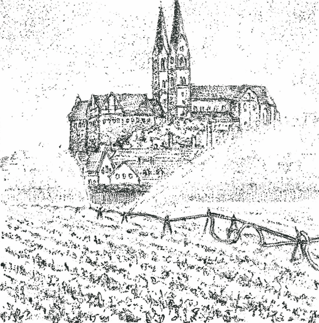Schlossberg und Landwirtschaft im Abteigarten Schlossberg und Landwirtschaft im Abteigarten