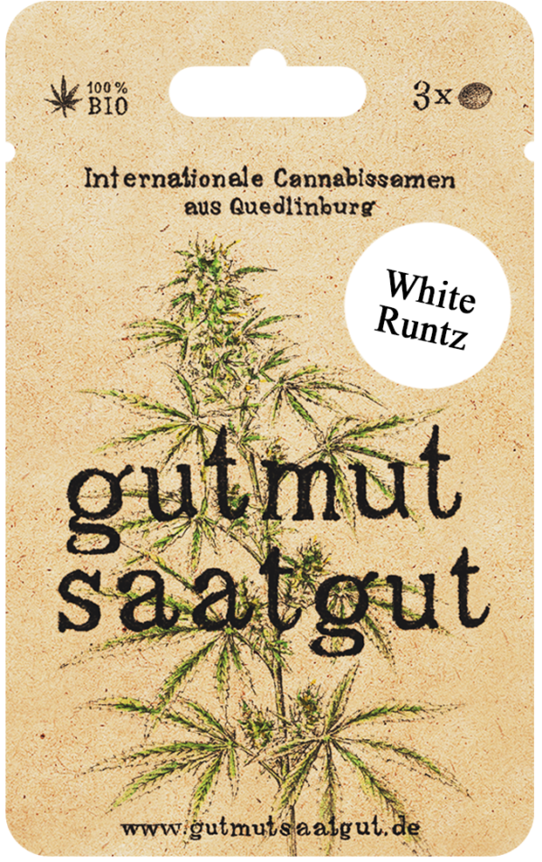 White Runtz – Bild 2