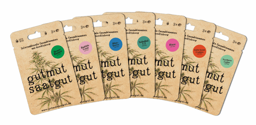 Indica Sativa Ruderalis - gutmut saatgut Auto Sorten