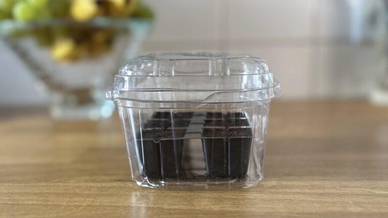 Anzuchtbox aus Weintraubenverpackung