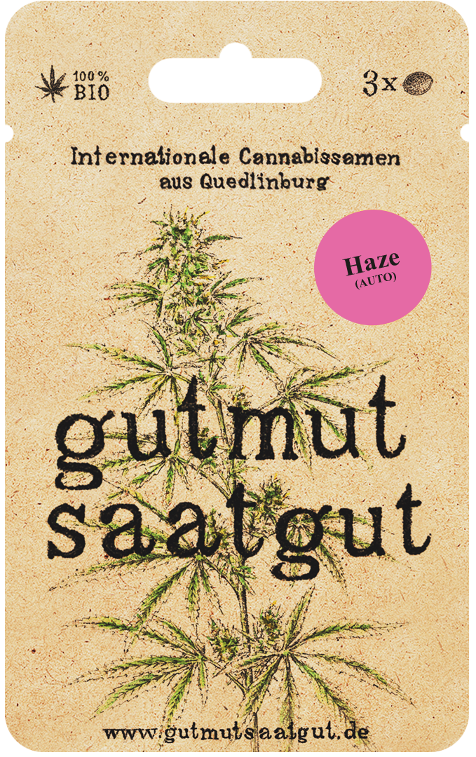 Haze (Auto) Cannabissamen