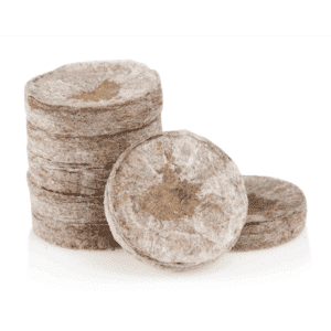 Jiffy Töpfe - Cannabissamen keimen