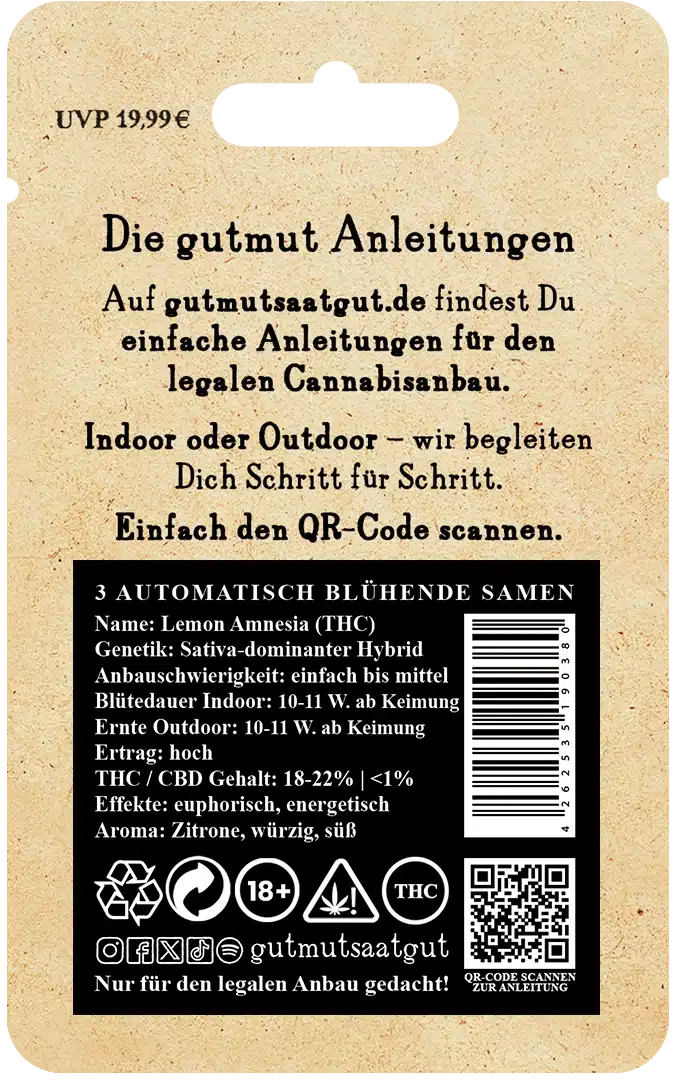 Lemon Amnesia (Auto) – Bild 3