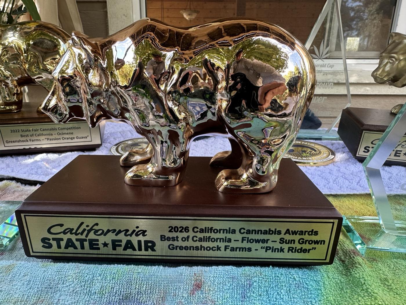 Goldene Bären-Trophäe der California State Fair für die beste sonnengewachsene Blüte