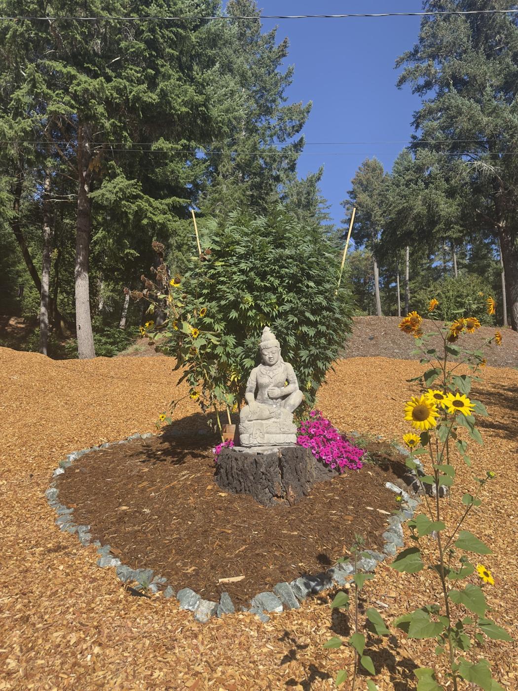 Buddha-Figur zwischen Blumen und einer Cannabispflanze