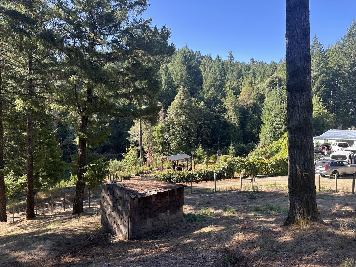 Farmgelände mit Redwoods und Holzhütte