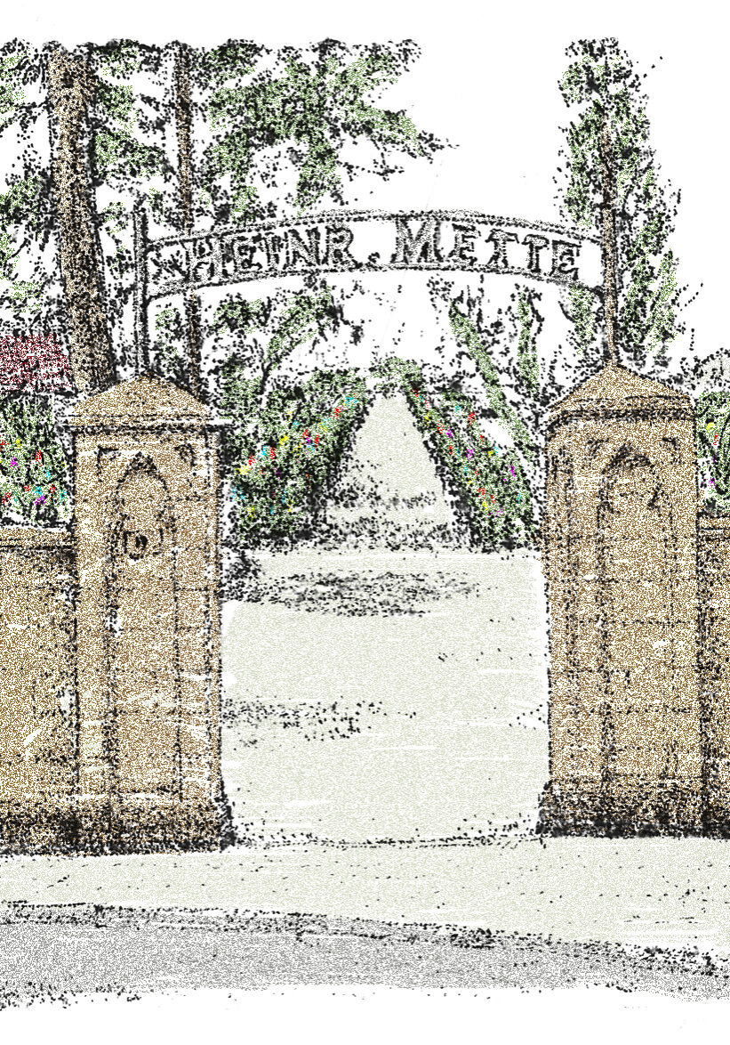 Samen aus Quedlinburg - Heinrich Mette