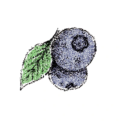 Blaubeere Blaubeere